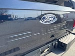 2025 F-150 Thumbnail 7