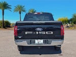 2025 F-150 Thumbnail 7