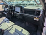 2024 F-150 Thumbnail 34