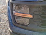 2024 F-150 Thumbnail 10