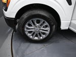 2025 F-150 Thumbnail 15
