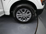 2025 F-150 Thumbnail 18