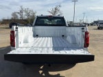2025 F-150 Thumbnail 11