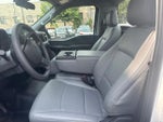 2025 F-150 Thumbnail 8