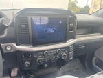 2025 F-150 Thumbnail 11