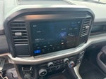 2025 F-150 Thumbnail 11
