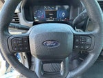 2025 F-150 Thumbnail 14