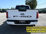 2026 F-150 Thumbnail 4
