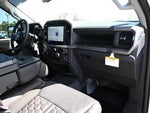 2026 F-150 Thumbnail 18