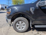 2024 F-150 Thumbnail 8