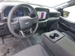2025 F-150 Thumbnail 12