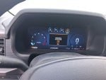2025 F-150 Thumbnail 14