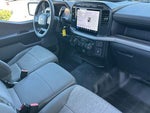2024 F-150 Thumbnail 15