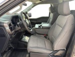 2025 F-150 Thumbnail 11