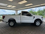 2024 F-150 Thumbnail 4