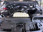 2024 F-150 Thumbnail 23