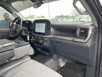 2024 F-150 Thumbnail 14