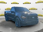 2025 F-150 Thumbnail 8