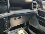2025 F-150 Thumbnail 17