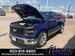2026 F-150 Thumbnail 12