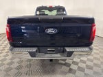 2025 F-150 Thumbnail 8