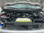 2026 F-150 Thumbnail 19