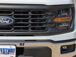 2025 F-150 Thumbnail 9