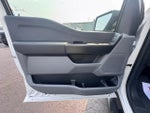 2026 F-150 Thumbnail 17