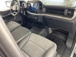 2025 F-150 Thumbnail 21