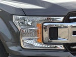 2019 F-150 Thumbnail 8