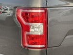 2019 F-150 Thumbnail 9