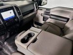 2020 F-150 Thumbnail 10