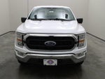 2021 F-150 Thumbnail 11