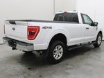 2021 F-150 Thumbnail 13