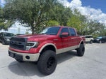 2009 F-150 Thumbnail 1