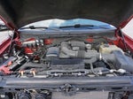 2009 F-150 Thumbnail 8