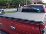 2009 F-150 Thumbnail 12