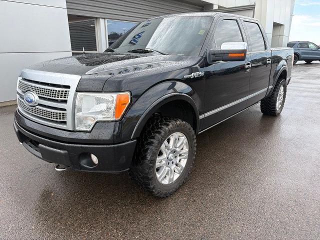 2009 Ford F-150 Platinum — photo 1 of 24