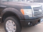 2009 F-150 Thumbnail 6