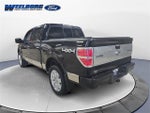 2009 F-150 Thumbnail 3