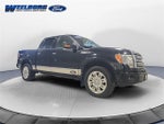 2009 F-150 Thumbnail 7