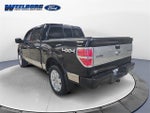2009 F-150 Thumbnail 3