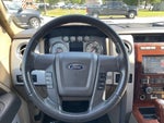 2009 F-150 Thumbnail 19