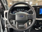2024 F-250 Super Duty Thumbnail 13