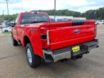 2026 F-250 Super Duty Thumbnail 6