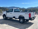 2025 F-250 Super Duty Thumbnail 4