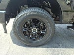 2025 F-350 Super Duty Thumbnail 9