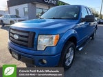 2009 F-150 Thumbnail 1