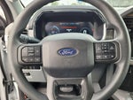 2024 F-150 Lightning Thumbnail 34