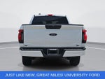 2023 F-150 Lightning Thumbnail 4